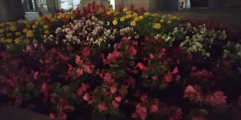 2018_camera_03_03_960