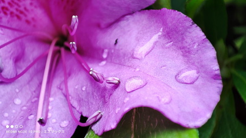 210413_redminote10pro_49a_960