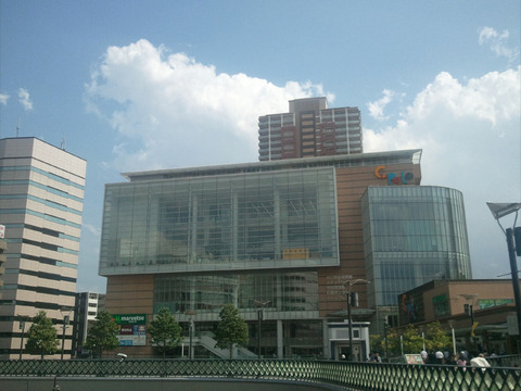 392e7321.jpg