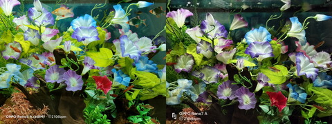 220630_oppo_reno7a_reno5a_10_1280