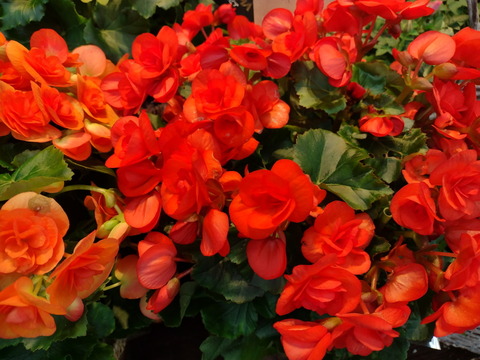 201104_motog9play_40_960