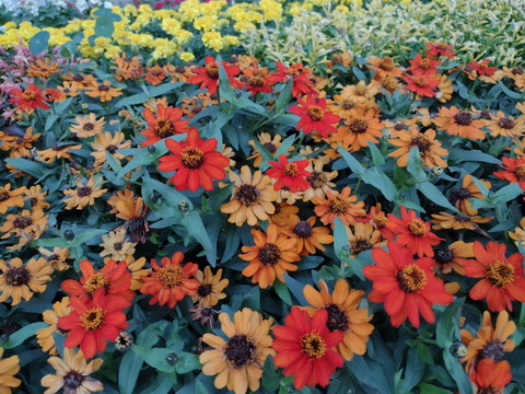 201104_motog9play_38_960