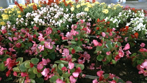 2018_camera_03_11_960