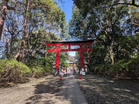 PXL_20250414_054545050.RAW-01.COVER