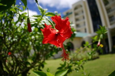 121214_telecom_guam