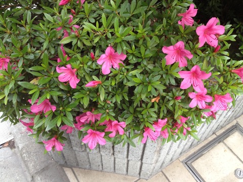 2_iPhone4S
