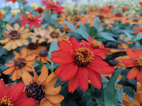 201104_motog9play_39_960