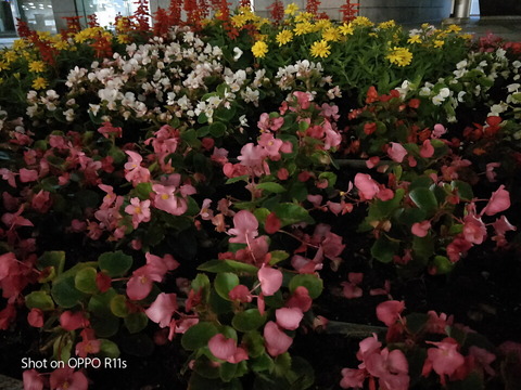 2018_camera_03_09_960