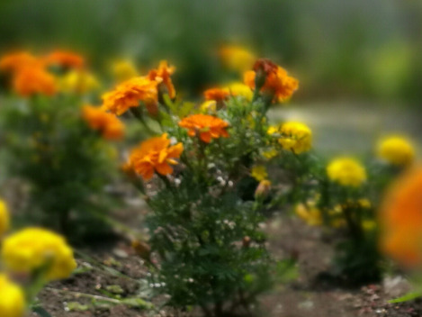 p9_wide_aparture_004