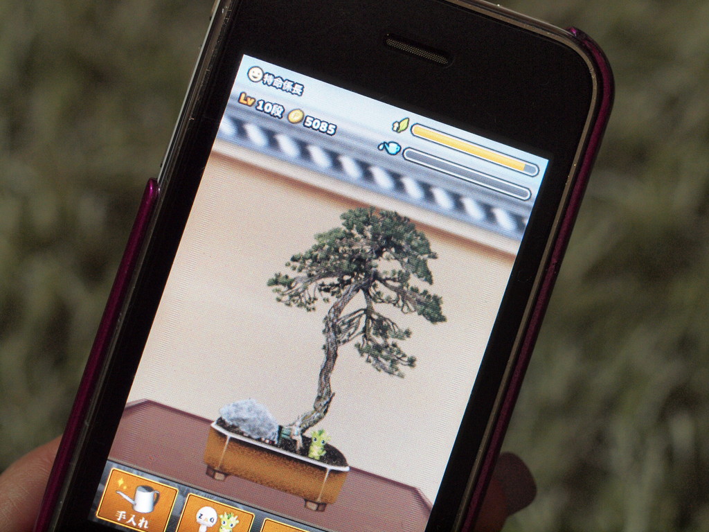 美しい盆栽を育てよう さいたま市渾身の盆栽育成アプリ つい 盆栽 Iphoneアプリ S Max
