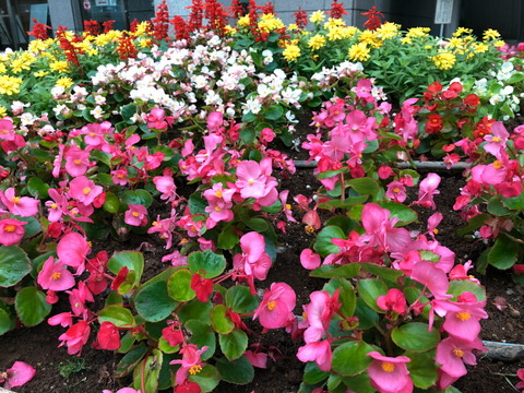 2018_camera_03_06_960