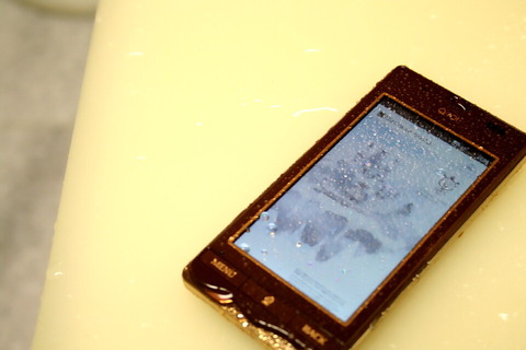81f8d148.jpg