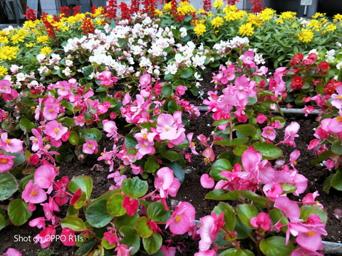 2018_camera_03_08_960