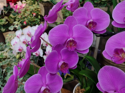 201104_motog9play_41_960