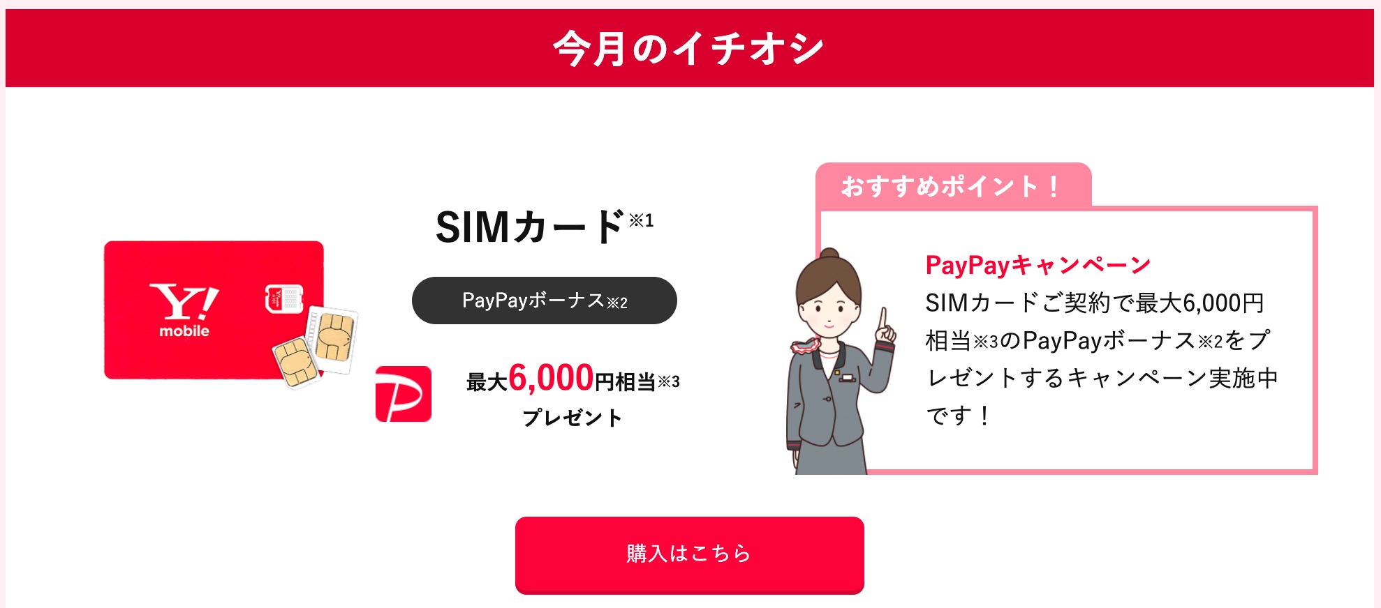ワイモバイル公式オンラインストアにてsimのみ契約でmnpなら最大6千円分のpaypayボーナスをプレゼント 手数料無料 契約縛りなし S Max ワイモバイル公式オンラインストアにてsimのみ契約でmnpなら最大6千円分のpaypayボーナスをプレゼント 手数料無料 契約縛りなし S Max