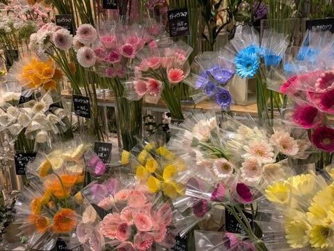 PXL_20250416_100506289.RAW-01.COVER