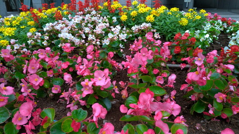 2018_camera_03_10_960