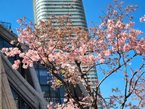 IMG_20260221_124653217_HDR