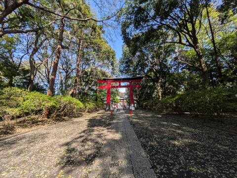 PXL_20250414_054547531.RAW-01.COVER