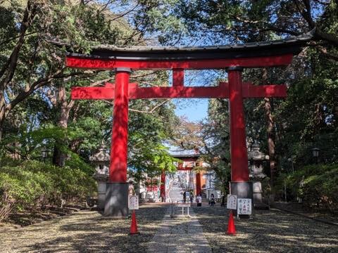 PXL_20250414_054603381.RAW-01.COVER