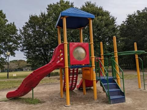 PXL_20201021_215829300