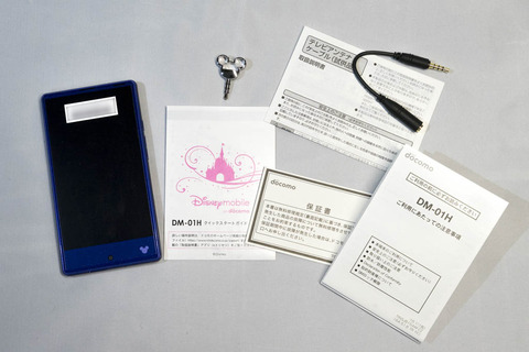 DSC08995のコピー