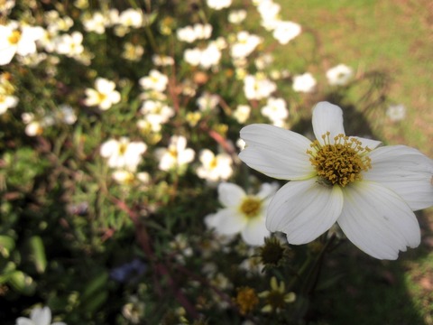 b8d754d1.jpg