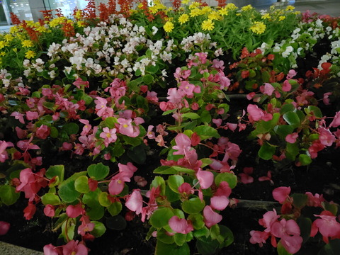 2018_camera_03_13_960