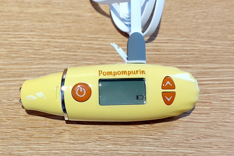 210831_belulu_skinchecker_pompompurin_21_960