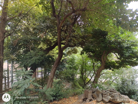 201104_motog9play_26_960