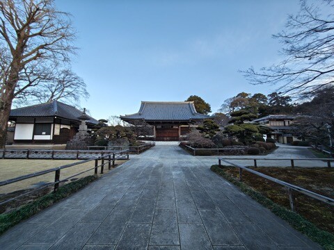 IMG_20260126_073153289_HDR