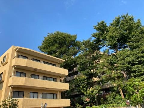 2020-08-14_07-08-40_402