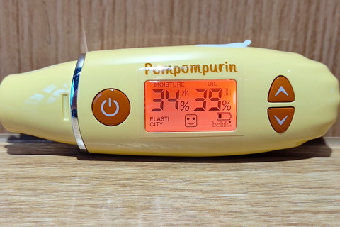 210831_belulu_skinchecker_pompompurin_15_960