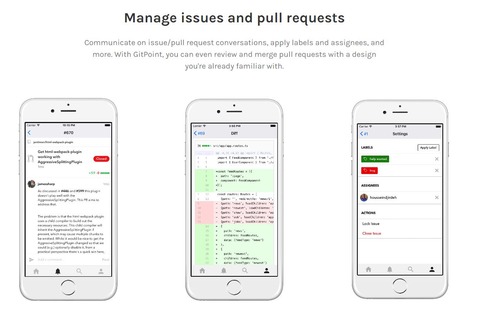 gitpoint-pr-issue