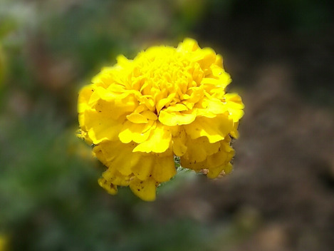 p9_wide_aparture_003