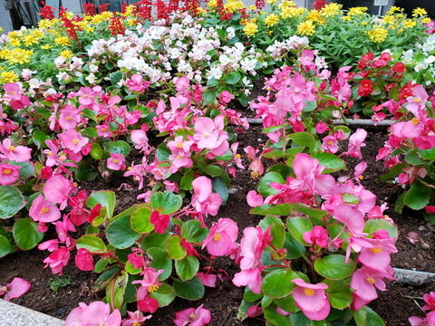 2018_camera_03_12_960