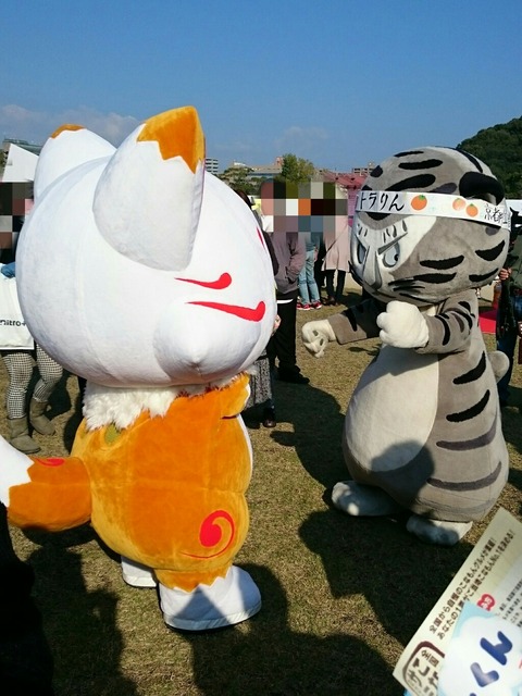 ゴニワ7