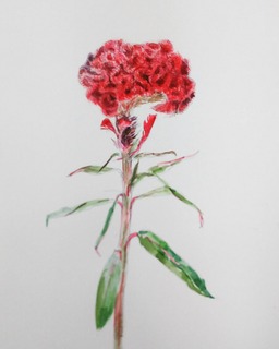 IMG_20180903_171202_587