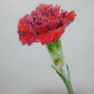 IMG_20190508_175039_621