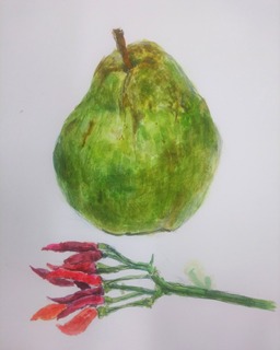 IMG_20181103_153440_333