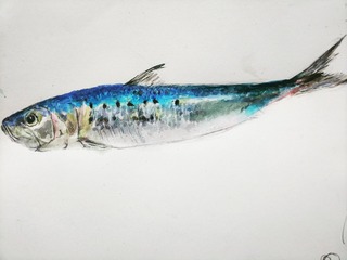 IMG_20190219_164701_818