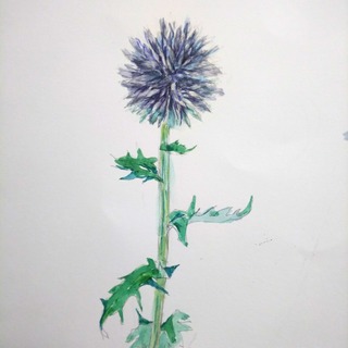 IMG_20180704_150650_563