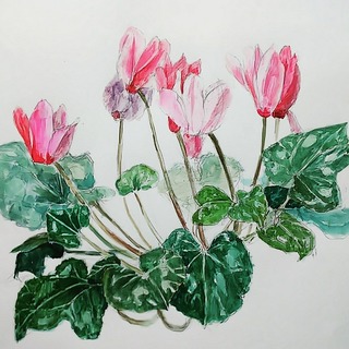 IMG_20180204_095157_986