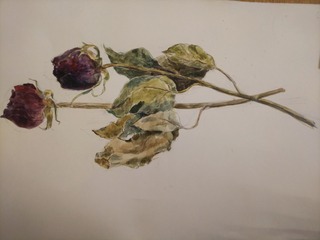 IMG_20180714_203859_616