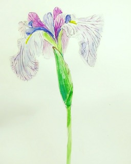 IMG_20180512_134338_680