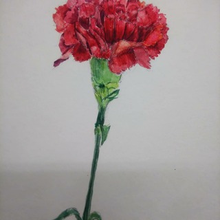 IMG_20190508_175039_618