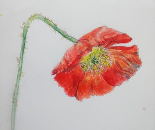 IMG_20190314_161340_531