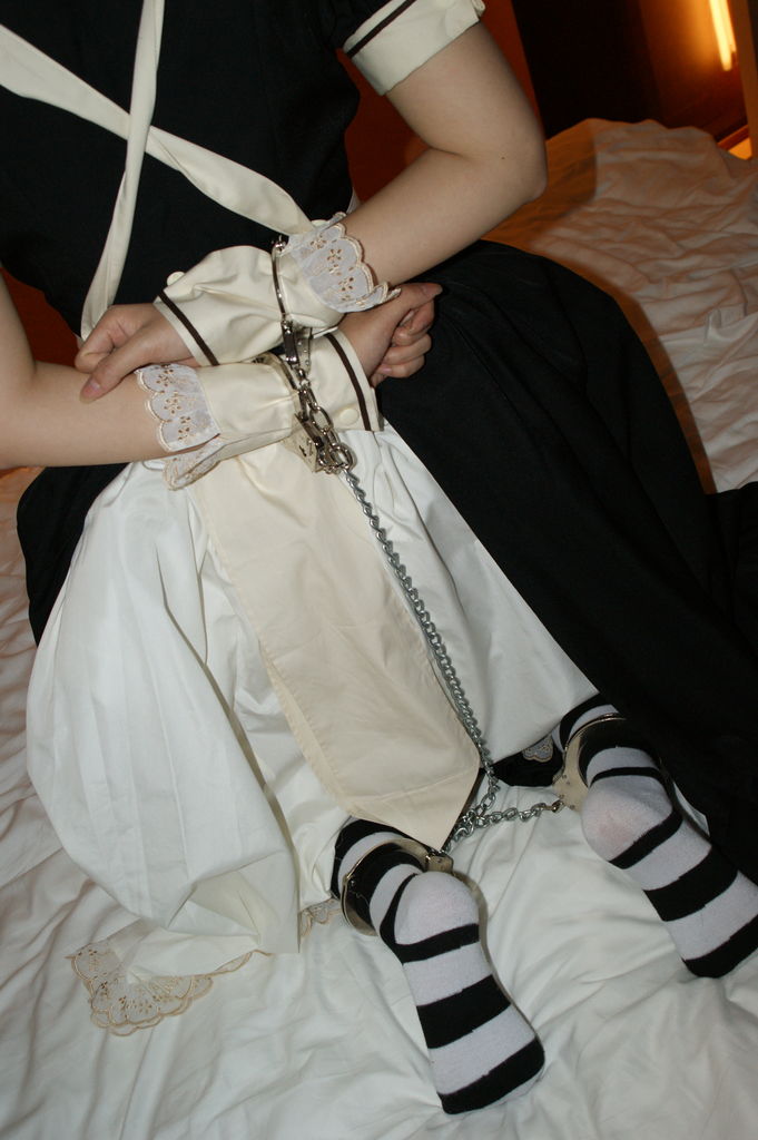 ３月の公開調教見学者 募集 しろへびの調教部屋