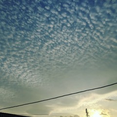 IMG_20220127_165507_039