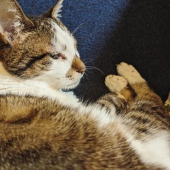 IMG_20230305_005714_676